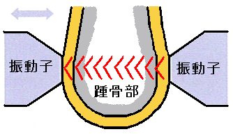 超音波骨密度測定装置 CM-200の測定原理と踵骨の骨内伝播速度SOS測定イメージ
