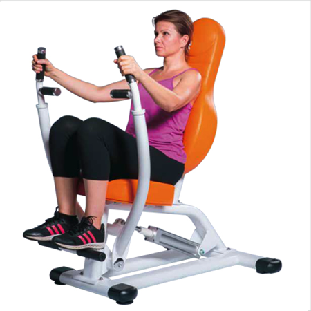 チェストプレス/ローイング GH-101【アルプス】