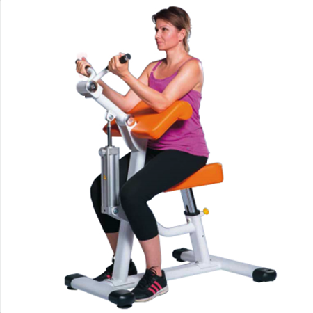 バイセプス/トライセプス GH-105【アルプス】