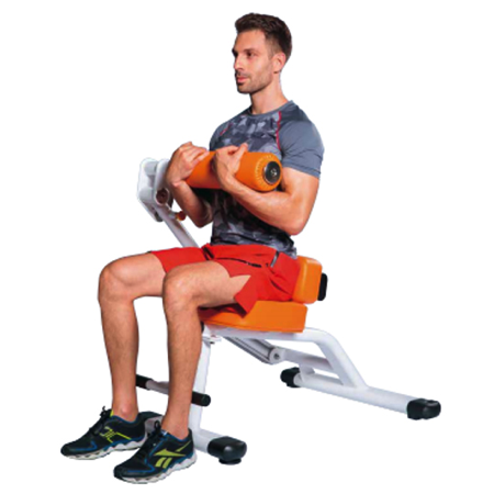 アブドミナル/バック GH-106【アルプス】