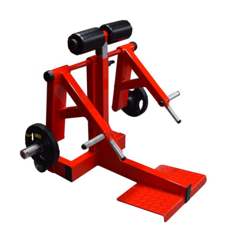 イージーマッスルデッド【鍛錬】