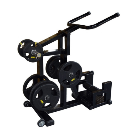 マッスルディップス【鍛錬】